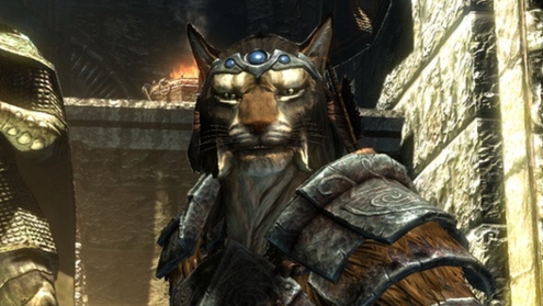 Look at that lovely Khajiit.