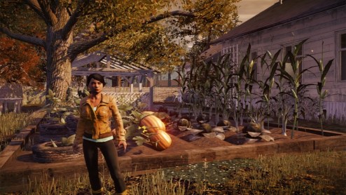 State of Decay 05