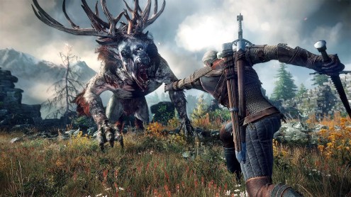 The Witcher 3 Wild Hunt 20